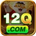 12q VIP - Casino & Slots